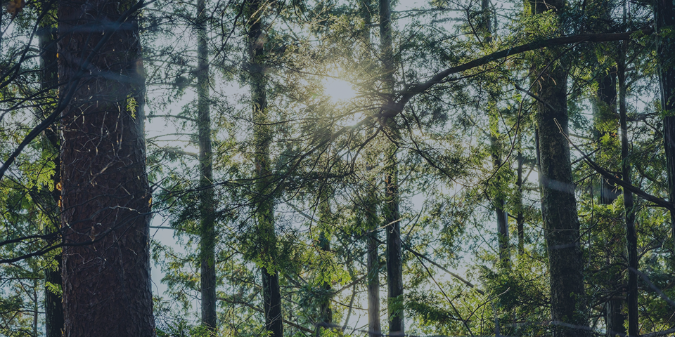 service_flex_image02