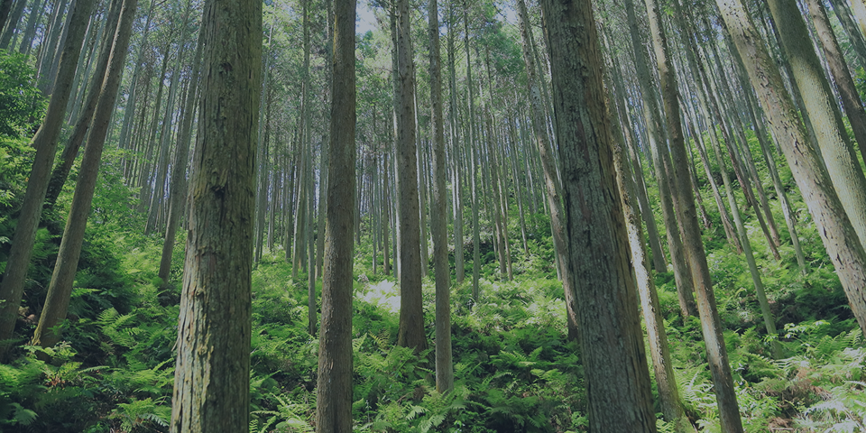 service_flex_image04