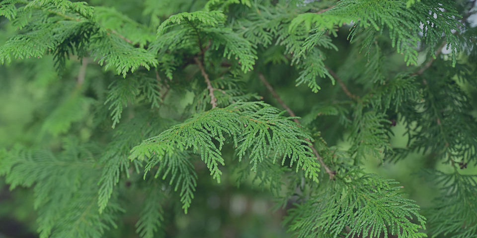 service_flex_image03